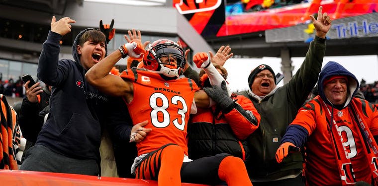AFC North Update: Bengals Are Your AFC North Champions