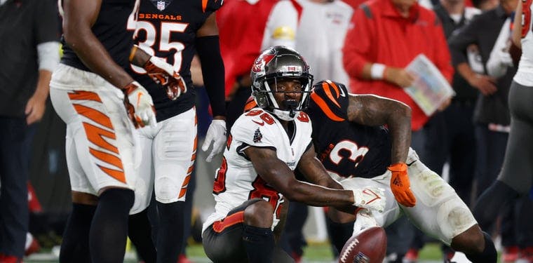 Tampa Bay Buccaneers wide receiver Jaydon Mickens reacts as he makes a first down against the Cincinnati Bengals